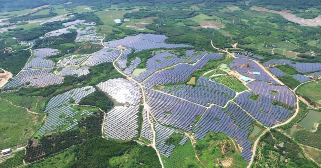 1631093499803680.jpg 640.webp.jpg